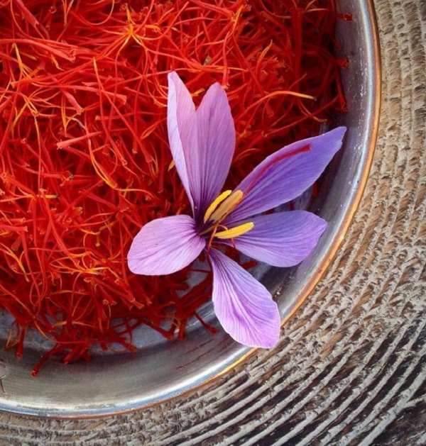 saffron